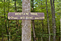 Massachusetts Midstate Trail - by Carl